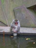 Amsterdam's zoo