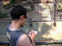Amsterdam's zoo - Artist at work