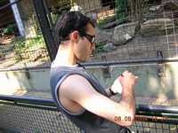 Amsterdam's zoo - Artist at work