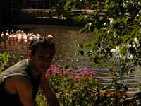 Amsterdam's zoo