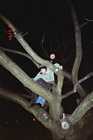 In park