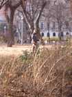 A park