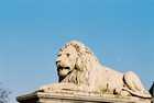Chain Bridge - The lions