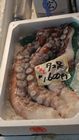 Tokyo - Tsukiji fish market