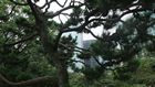 Tokyo - Hamarikyu garden