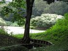 Tokyo - Hamarikyu garden