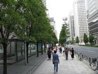 Streets of Tokyo