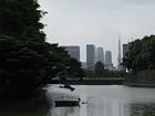 Tokyo - Imperial Palace gardens