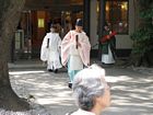 Tokyo - Yoyogi Park - Meiji Shrine