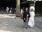 Tokyo - Yoyogi Park - Meiji Shrine