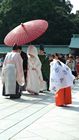 Tokyo - Yoyogi Park - Meiji Shrine