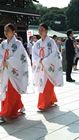 Tokyo - Yoyogi Park - Meiji Shrine