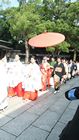 Tokyo - Yoyogi Park - Meiji Shrine