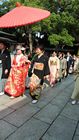 Tokyo - Yoyogi Park - Meiji Shrine