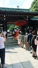 Tokyo - Yoyogi Park - Meiji Shrine