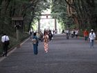 Tokyo - Yoyogi Park