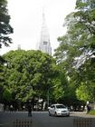 Tokyo - Yoyogi Park