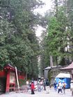 Nikko - Toshogu