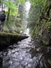 Nikko National Park