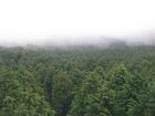 Fuji-Hakone-Izu National Park