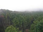 Fuji-Hakone-Izu National Park
