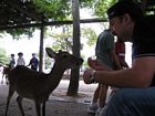 Miyajima