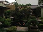 Miyajima - Mount Misen
