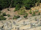 Miyajima - Mount Misen