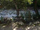 Miyajima - Mount Misen