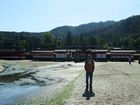 Miyajima - Itsukushima Shrine