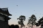 Kanazawa castle