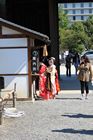 Kyoto - Nijo castle