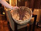 Kyoto - In the chinese restaurant - Lobster