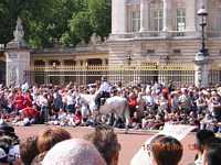 Buckingham Palace Square