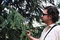 Buckingham Palace - The backyard