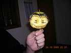 Chinese Creature
